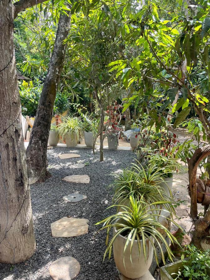 Hotel Jungle Escape Hiriketiya Dikwella Esterno foto